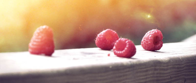 免费短信电话轰炸机